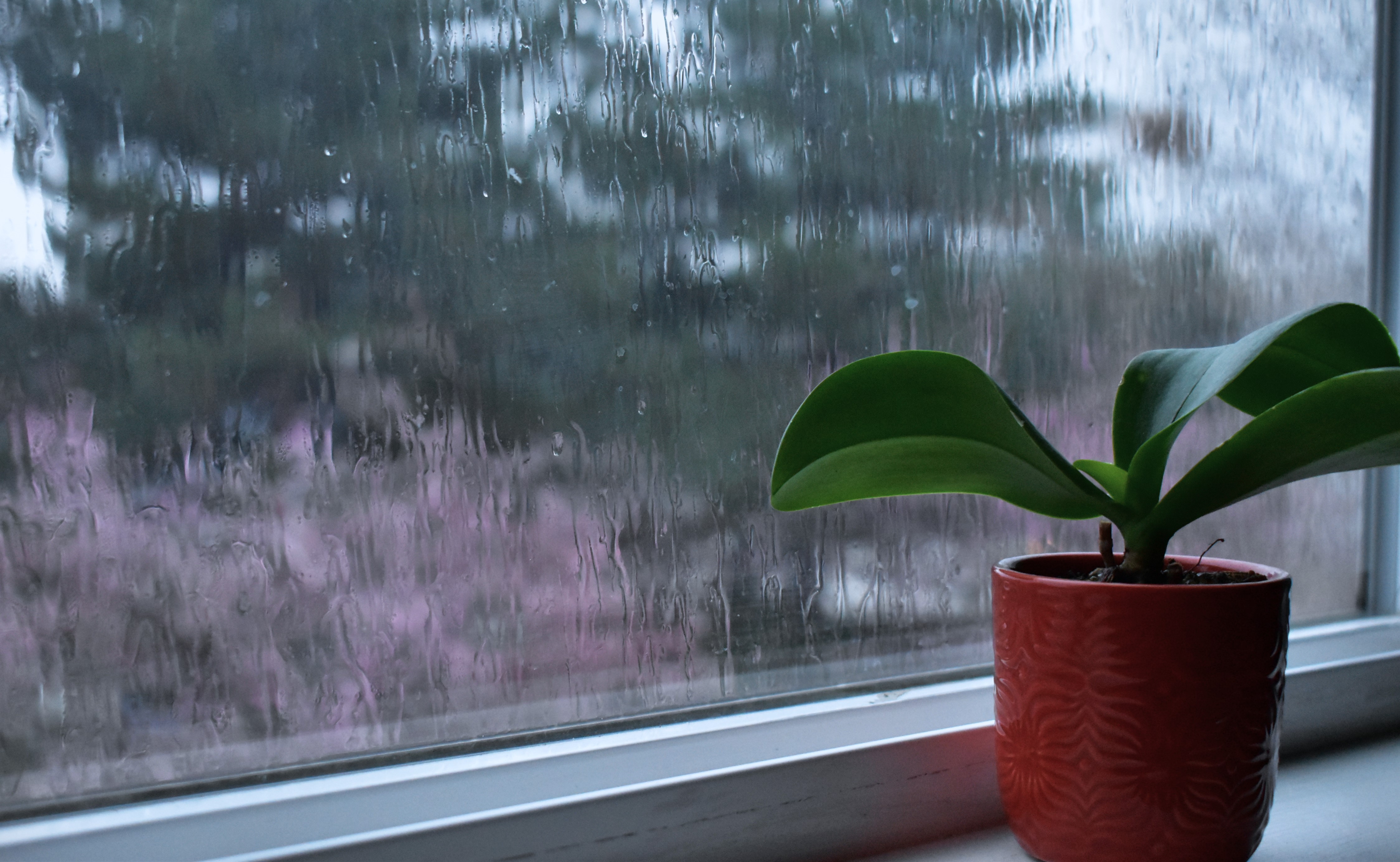 Running on Empty: Why I Stopped Calling Rest a Failure